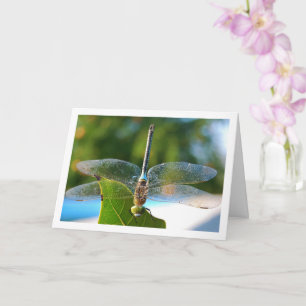 Libelle auf grünem Blatt Karte