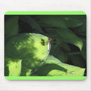Libelle auf Hosta-Blätter Mousepad