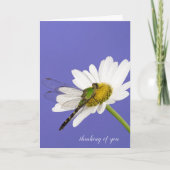 Libelle auf weißem Gänseblümchen Karte (Vorderseite)