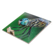 Libelle blaue Darner Nahaufnahme-Augen Fliese (Seite)