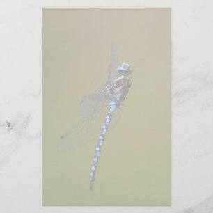 Libelle Briefpapier
