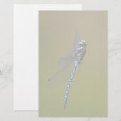 Libelle Briefpapier (Vorne/Hinten)