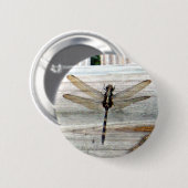 Libelle Button (Vorne & Hinten)