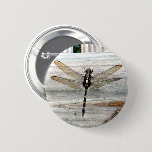 Libelle Button (Vorne & Hinten)