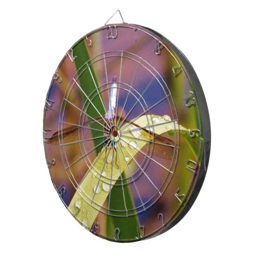 Libelle Dartscheibe (Vorderseite rechts)