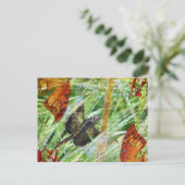 Libelle, Fliege weg Postkarte (Stehend Vorderseite)