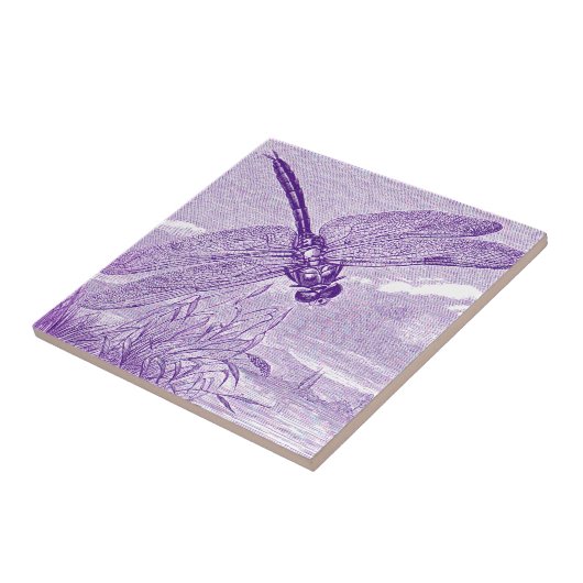 Libelle Fliese (Seite)