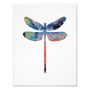 Libelle Fotodruck