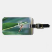 Libelle Gepäckanhänger (Vorderseite horizontal)