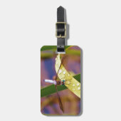 Libelle Gepäckanhänger (Vorderseite vertikal)