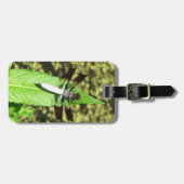 Libelle Gepäckanhänger (Vorderseite horizontal)