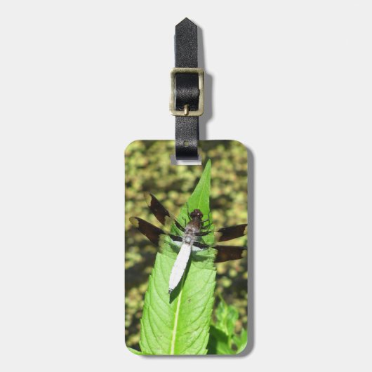 Libelle Gepäckanhänger (Vorderseite vertikal)