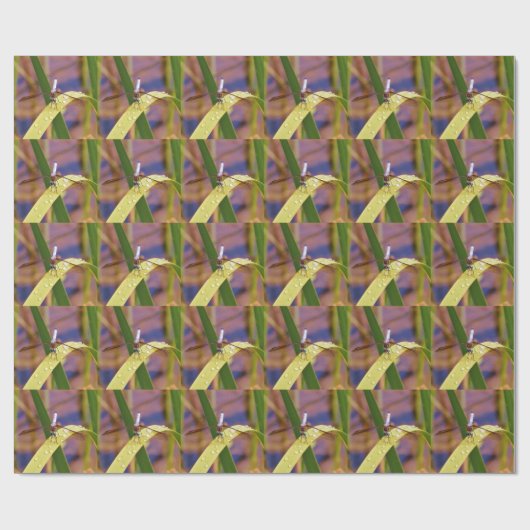 Libelle Geschenkpapier (Flach)