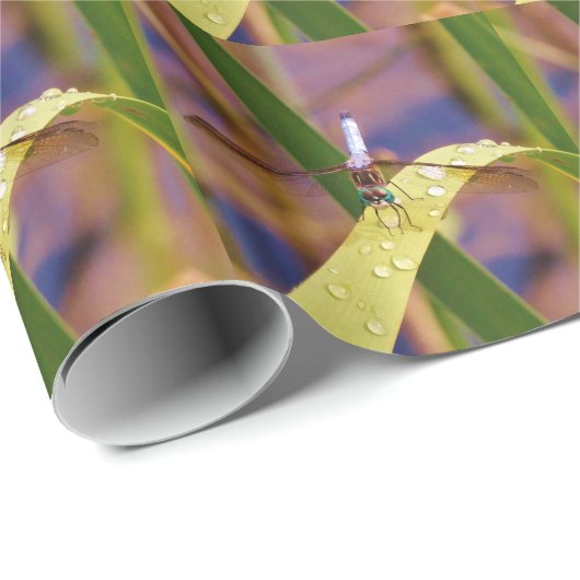 Libelle Geschenkpapier (Rolleneckpunkt)