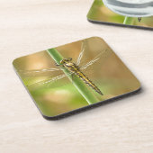 Libelle Getränkeuntersetzer (Linke Seite)