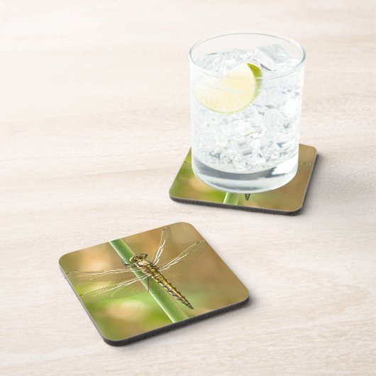 Libelle Getränkeuntersetzer (Rechte Seite)