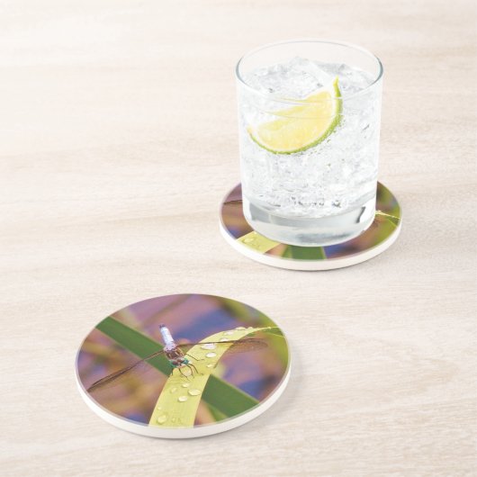 Libelle Getränkeuntersetzer (Seite)