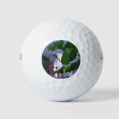 Libelle Golfball (Vorderseite)