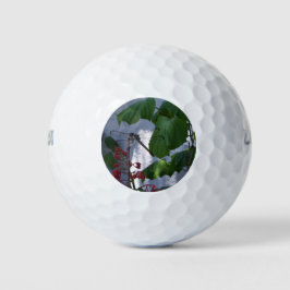 Libelle Golfball