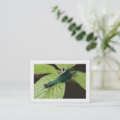 Libelle (grenzt) visitenkarte (Stehend Vorderseite)