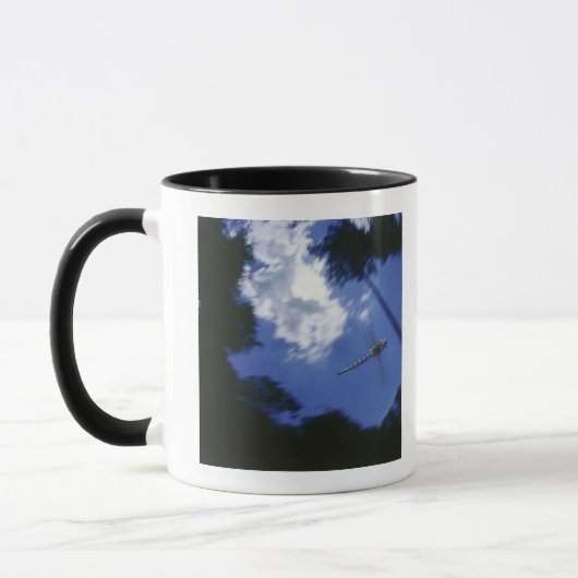 Libelle im Flug, Flügel flatternd Tasse (Links)