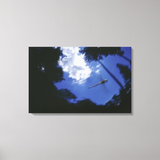 Libelle im Flug, Flügelschlag Leinwanddruck (Vorderseite)