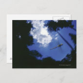 Libelle im Flug, Flügelschlag Postkarte (Vorne/Hinten)