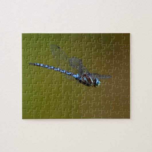 Libelle im Flug Puzzle (Horizontal)