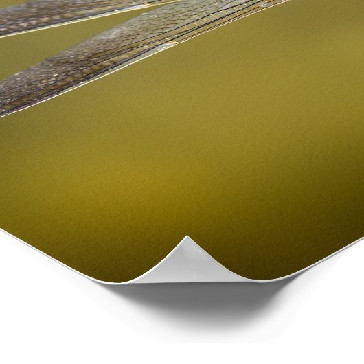 Libelle in der Erholung Poster (Ecke)