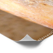 Libelle in der Erholung Poster (Ecke)