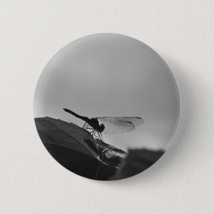 Libelle in Graustufen auf einem runden Knopf Button