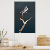 Libelle in Ruhe Poster (Küche)