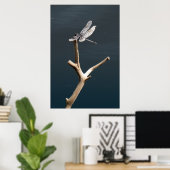 Libelle in Ruhe Poster (Heimbüro)