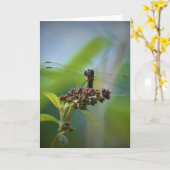 Libelle, Karte (Gelbe Blume)