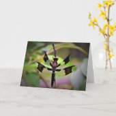 Libelle, Karte (Gelbe Blume)