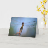 Libelle, Karte (Gelbe Blume)