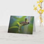Libelle, Karte (Gelbe Blume)