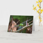 Libelle, Karte (Gelbe Blume)