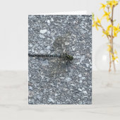 Libelle Karte (Gelbe Blume)