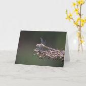 Libelle, Karte (Gelbe Blume)