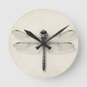 Libelle Metallisch Detaillierte Vintage-Entomologi Runde Wanduhr