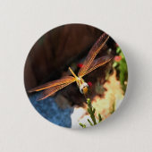 Libelle mit goldgelben Flügeln Button (Vorderseite)