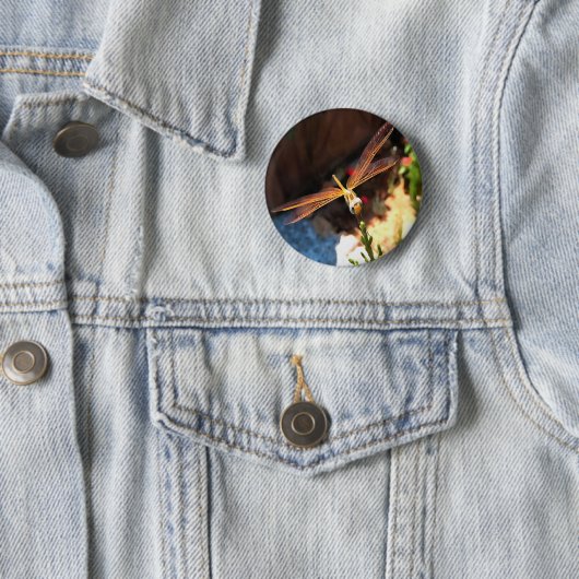 Libelle mit goldgelben Flügeln Button (Beispiel)