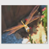 Libelle mit goldgelben Flügeln Geschenkpapier (Flach)