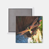 Libelle mit goldgelben Flügeln Magnet (Vorderseite/Rückseite)