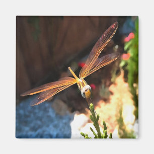 Libelle mit goldgelben Flügeln Magnet