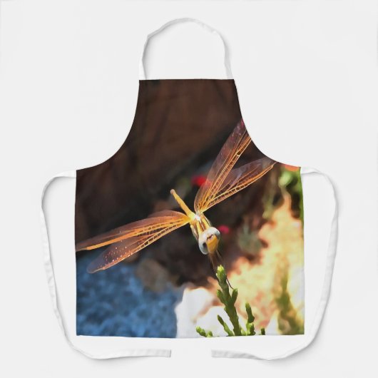 Libelle mit goldgelben Flügeln Schürze (Vorderseite)