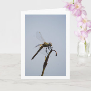 Libelle mit Spazierstock Karte