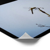 Libelle mit Spazierstock Poster (Ecke)