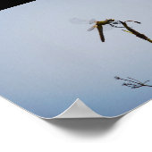 Libelle mit Spazierstock Poster (Ecke)
